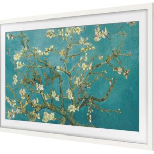 FRAME OKVIR 32 BEL (2021-2022)