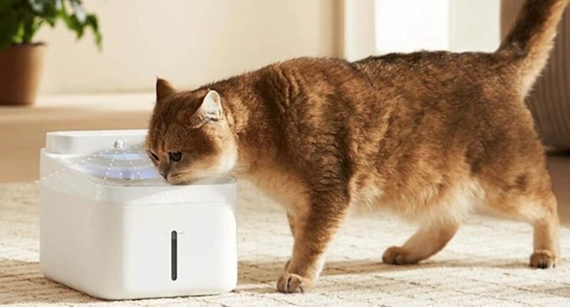 Vodna fontana Xiaomi Smart pet 2 bela