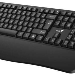 Tipkovnica Genius KB-123,PR,AI,BLK,SER,USB