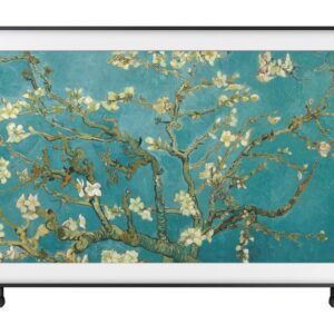 LIFESTYLE FRAME TV SAMSUNG 55LS03B