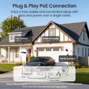 Reolink PoE kupolasta kamera P324-V2 (RLC-520A), 5MP, Barvni nočni vid, AI zaznavanje, Perimetralna